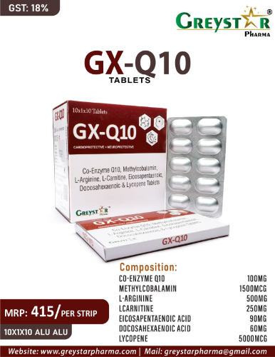 GX-Q10